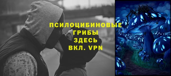 винт Ельня