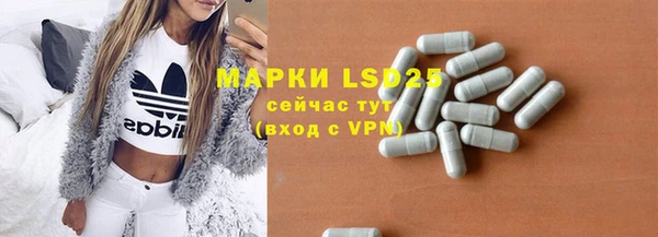 винт Ельня
