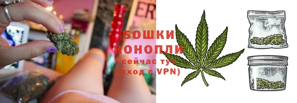 винт Ельня