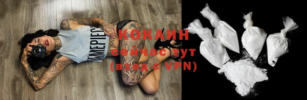 винт Ельня
