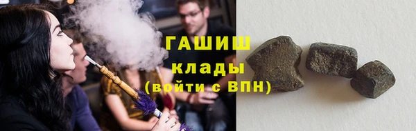 винт Ельня