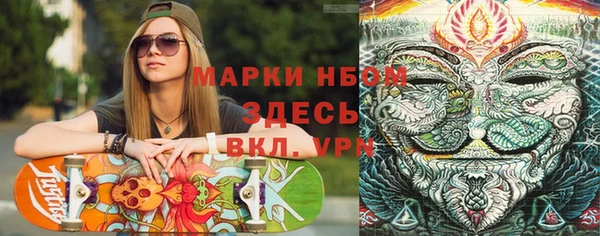 винт Ельня