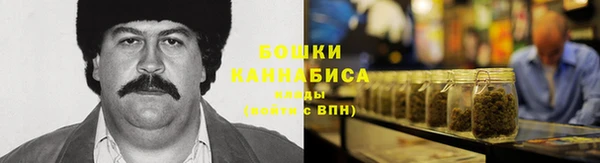 винт Ельня