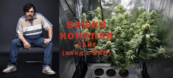 винт Ельня