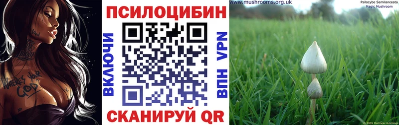 Псилоцибиновые грибы Magic Shrooms  закладка  Серпухов 